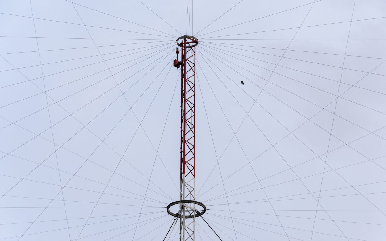 Trovatosi a passare di l�...