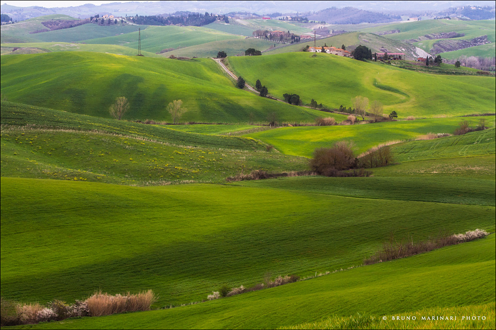 Primo verde di stagione