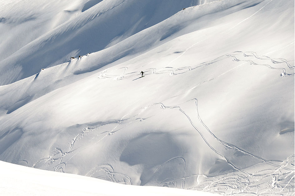 la libert� su due scie di vento