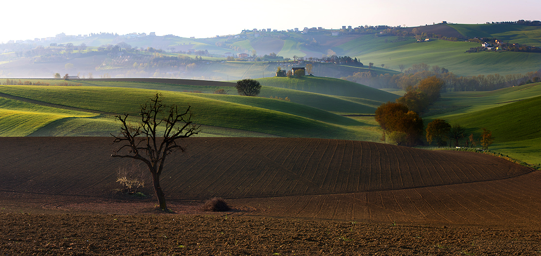 wide - ritorno alle origini la vendetta
