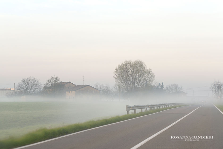 mattina padana di primavera