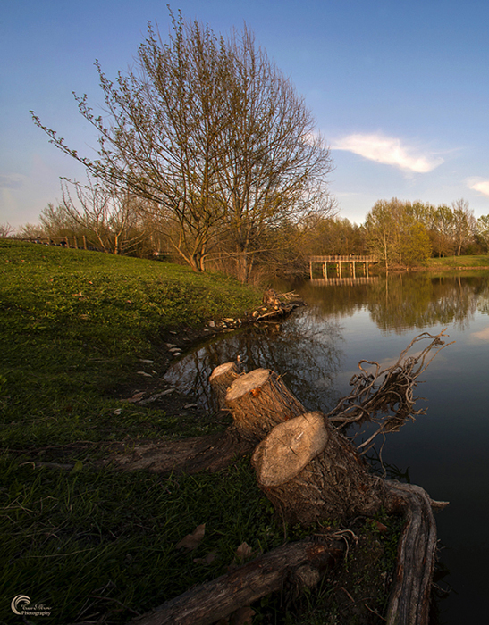 Parco settimo Torinese