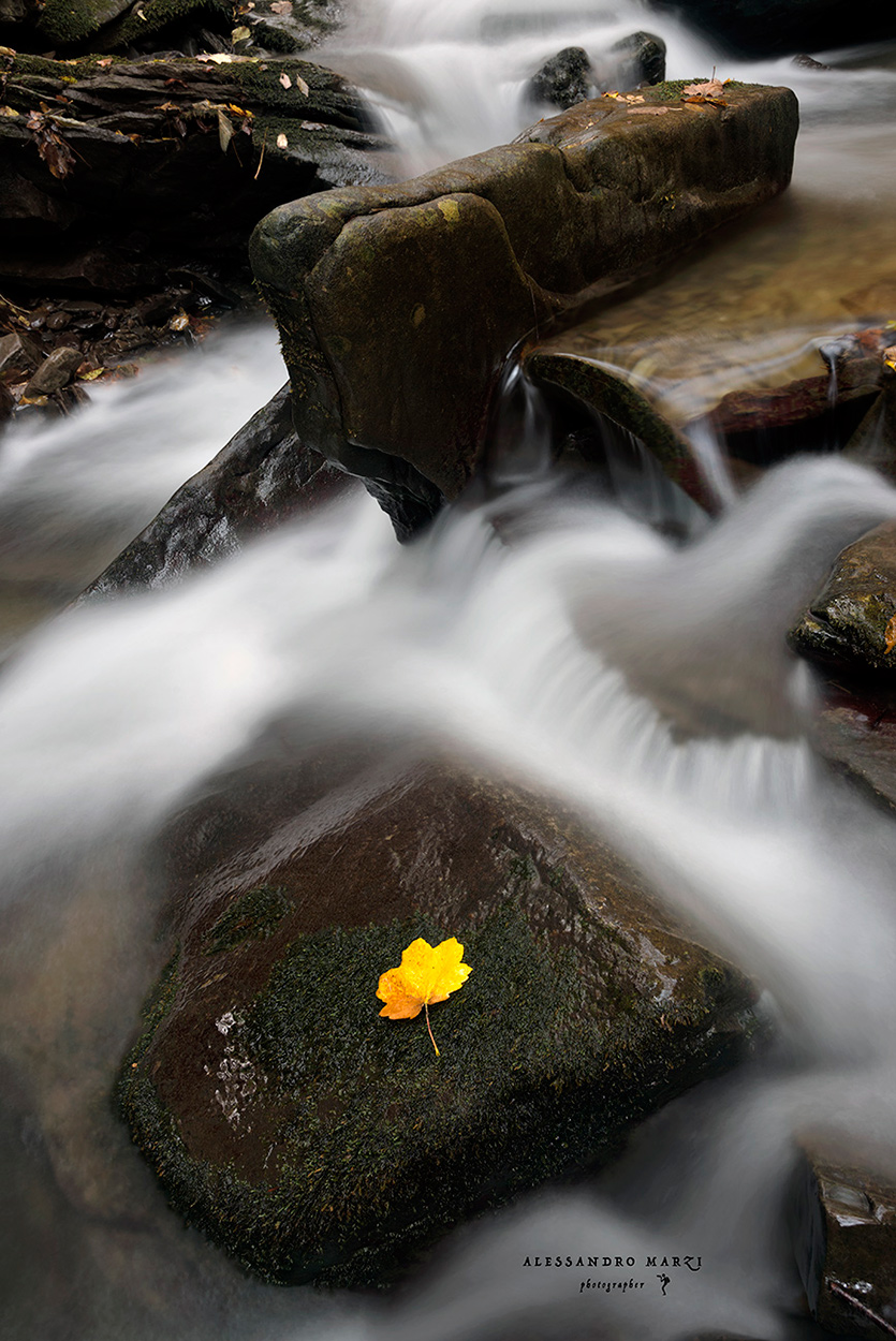 Mentre tutto .. scorre