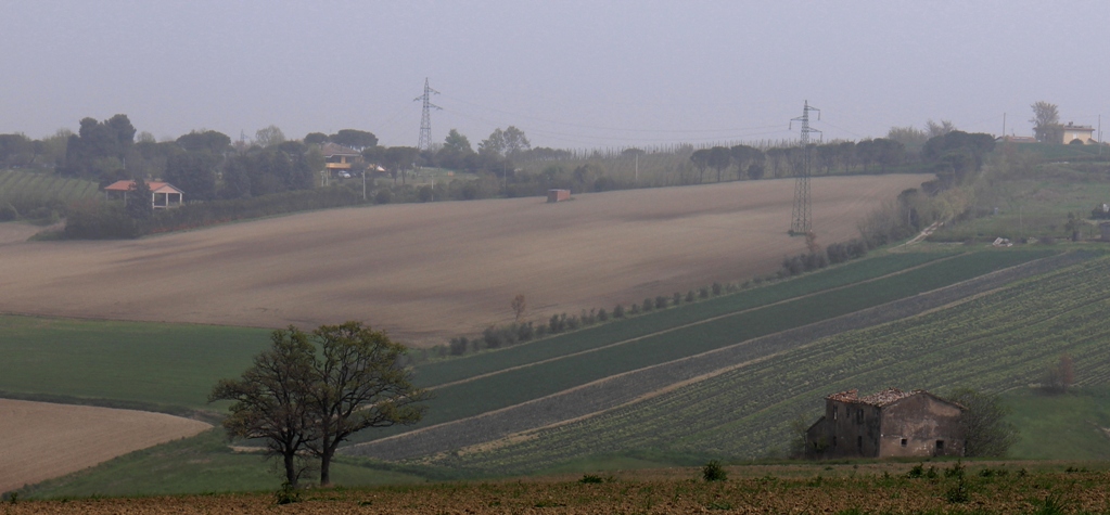 campagna