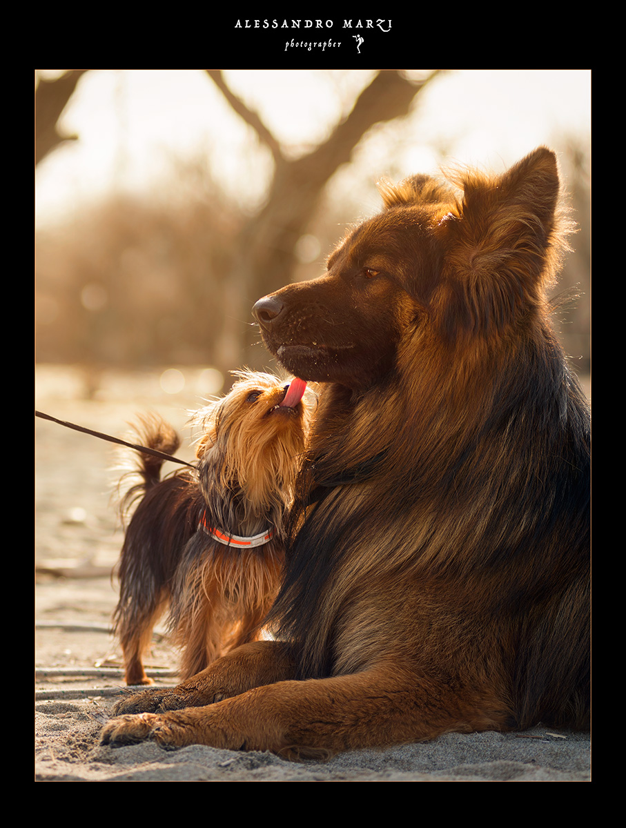Bacio alla francese!