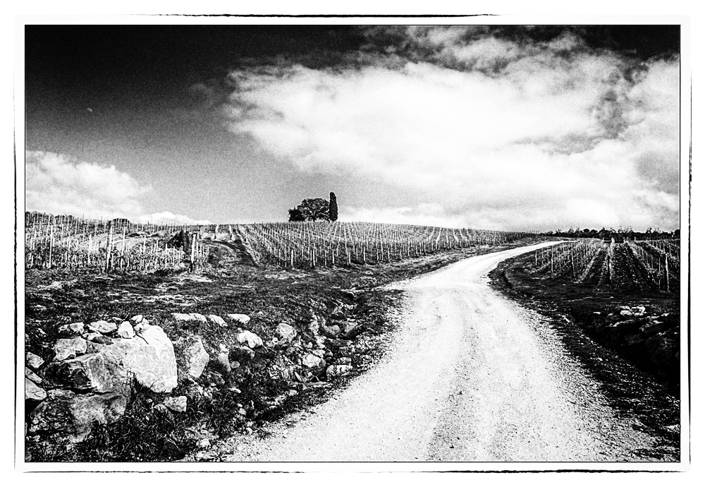 Come una vecchia cartolina