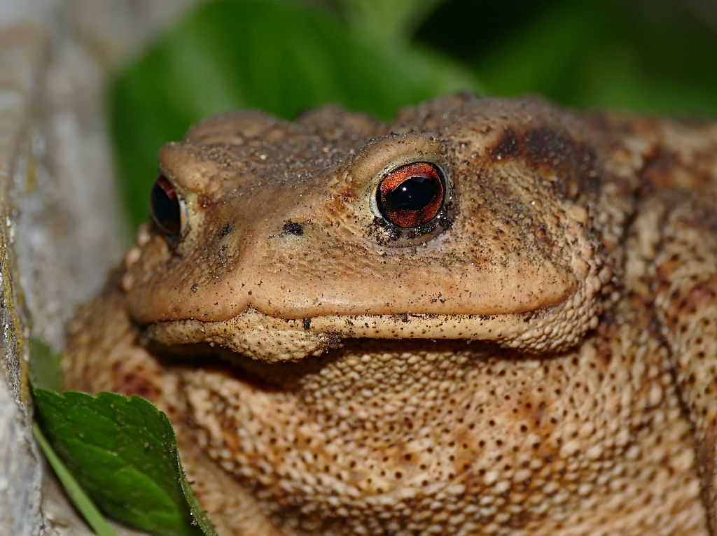 *** Non guardarmi male.....***