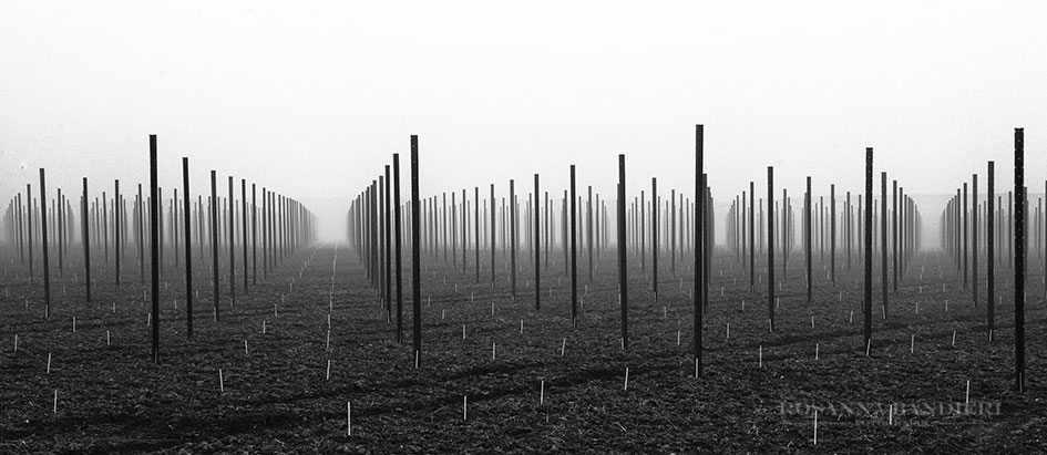 I///////////\\\\\\\\\\\I