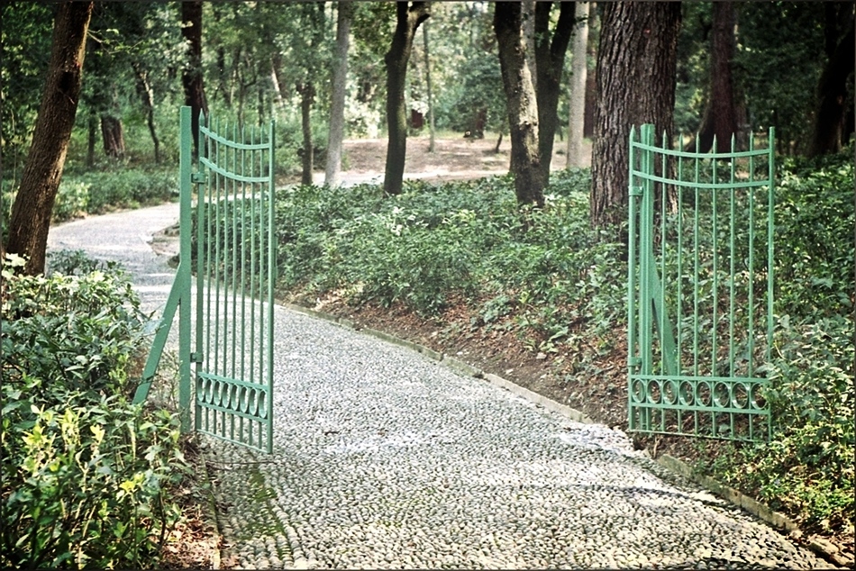Il cancello verde