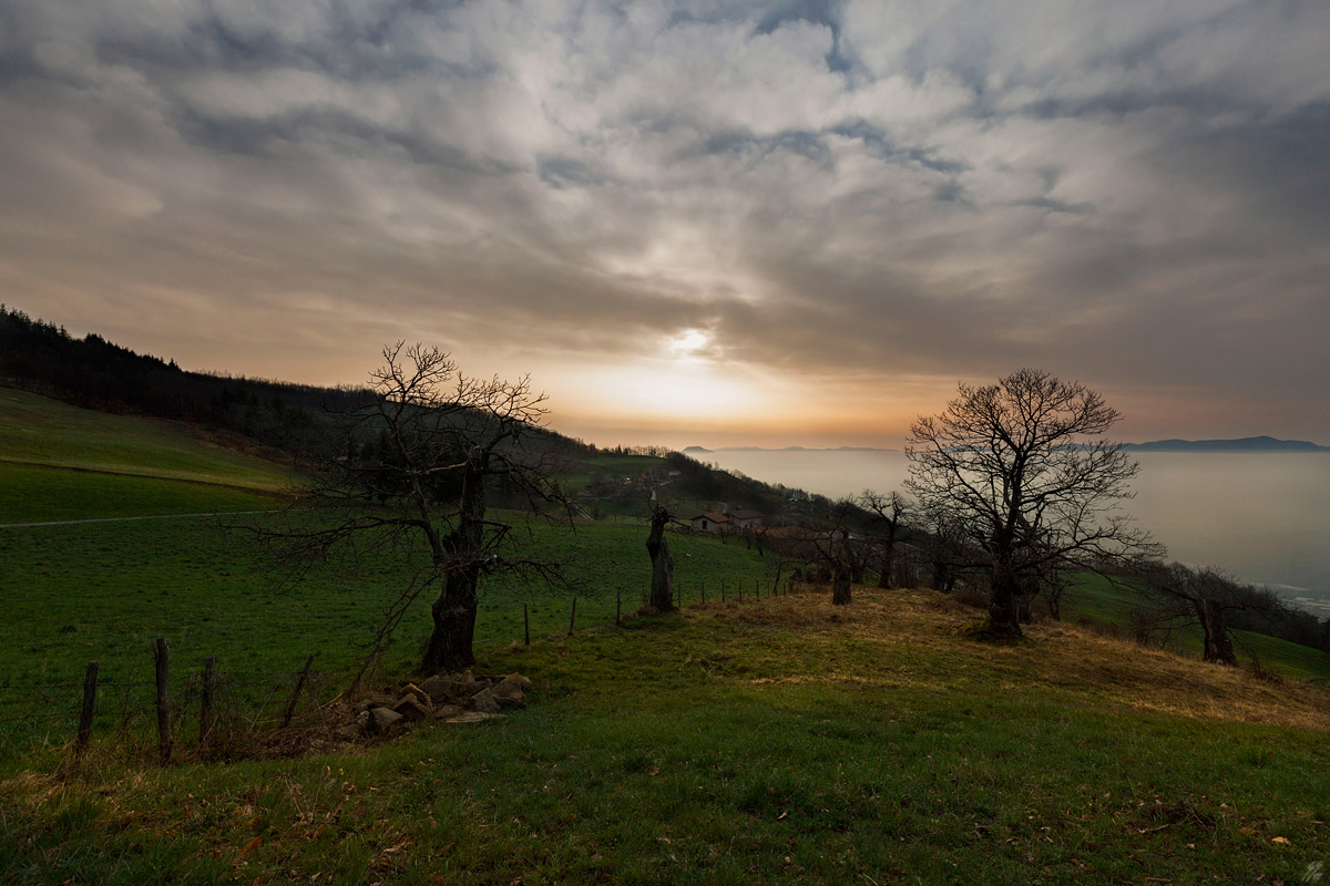 ..spettatori di bellezza..