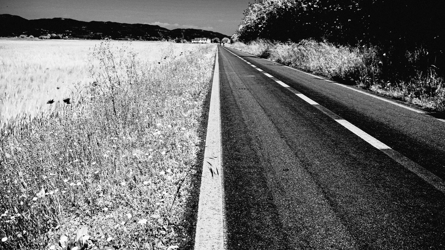 CIclabile della Riviera Berica