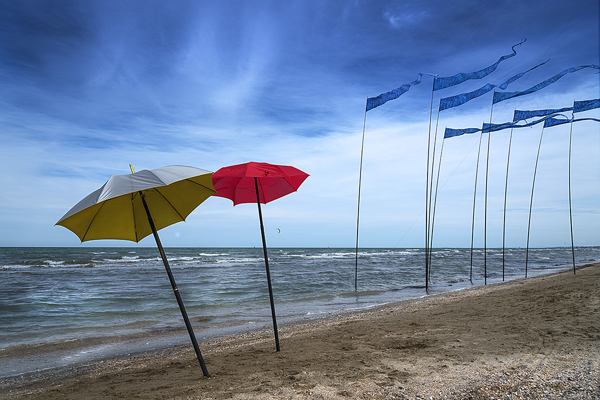 l'allegrezza del vento fuga i cattivi pensieri....