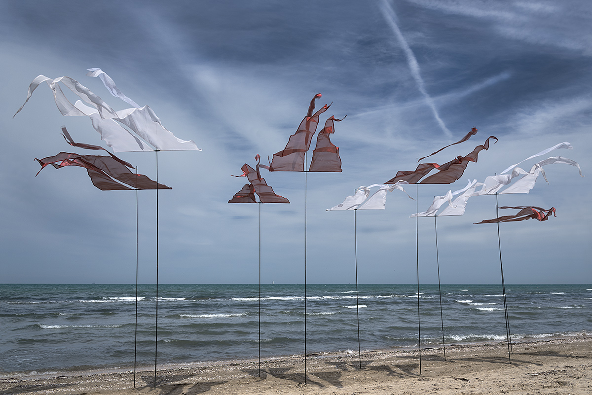 Eppure il vento soffia ancora!!