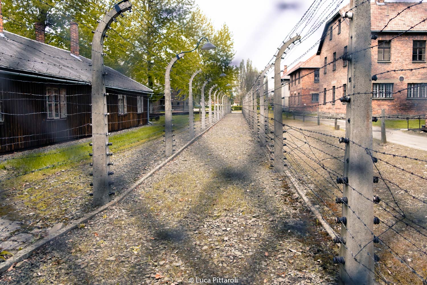 Auschwitz