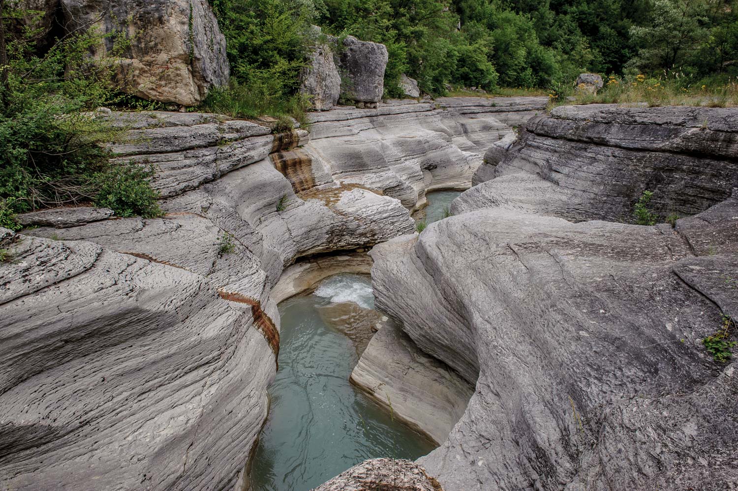 "CANYON"..abruzzese..