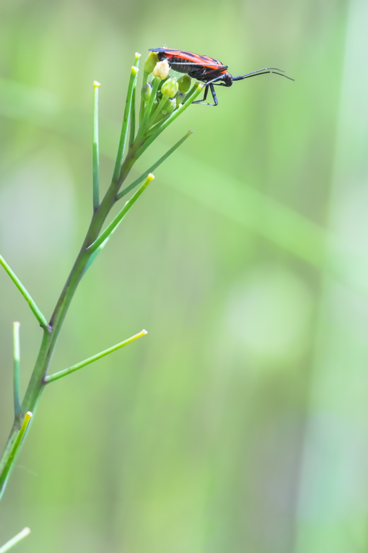 Decisioni importanti