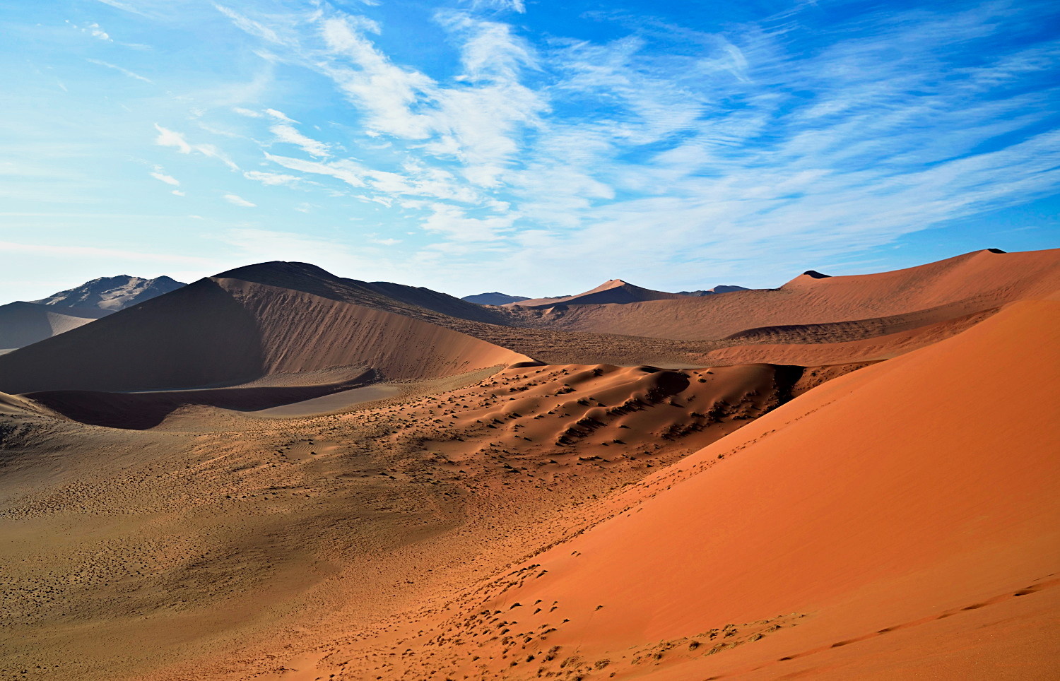 Deserto del Namib