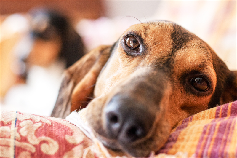 Gioia (e dietro Kelly)