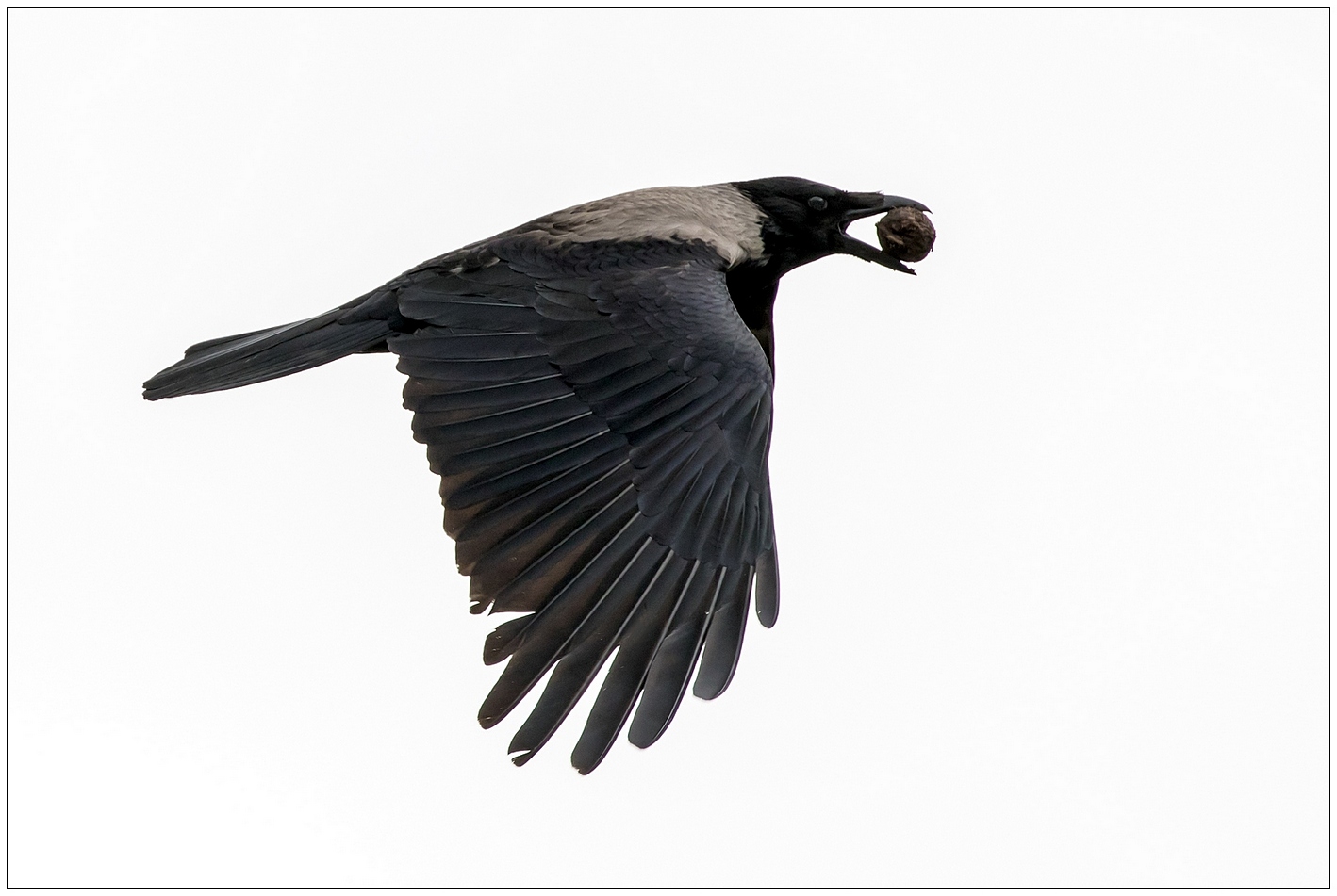 Vado a mangiarmela in un posto tranquillo.