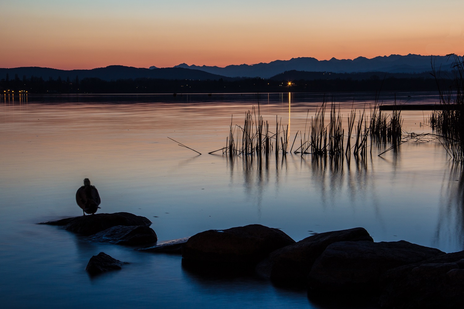 Angolo zen sul lago ...