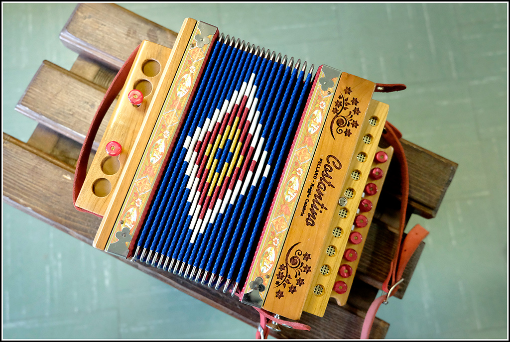 A scuola di organetto