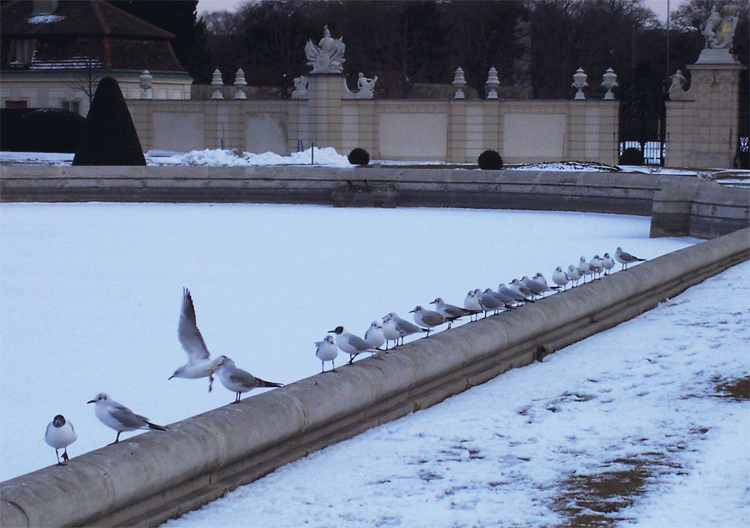 aspettando il disgelo