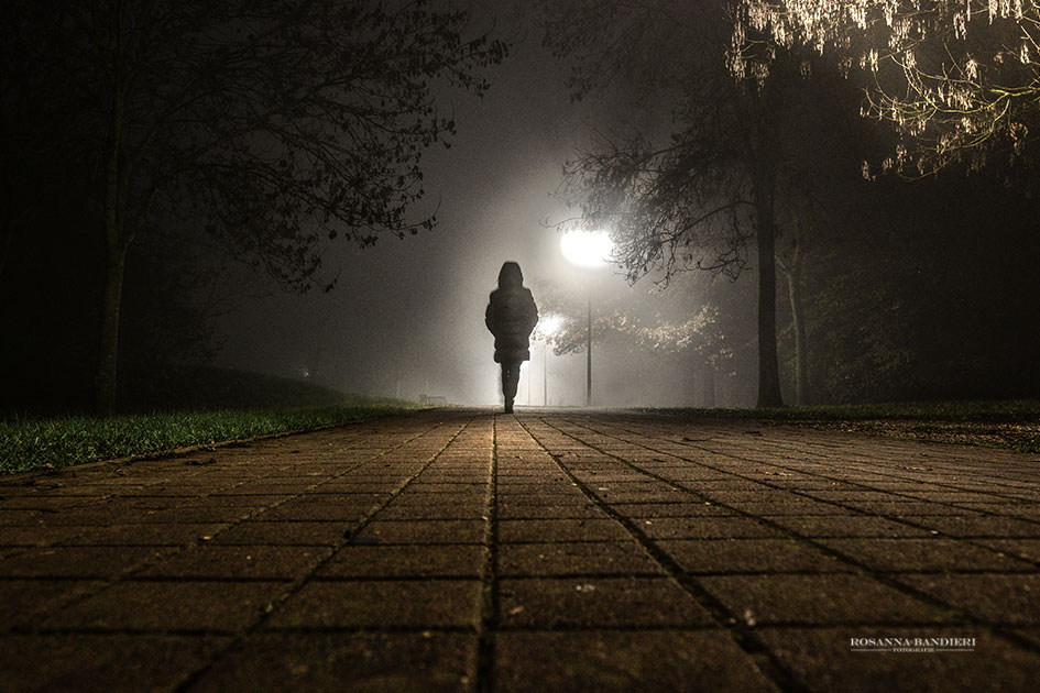 la solitudine dei numeri primi