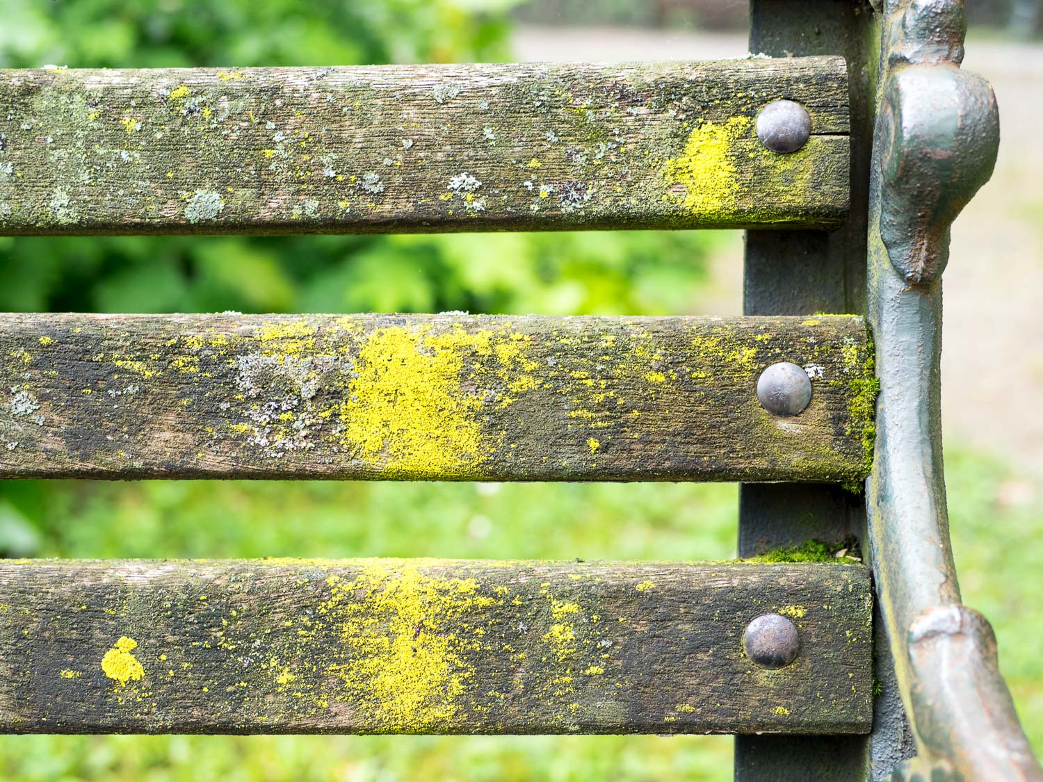 Pinerolo,Villa Prever