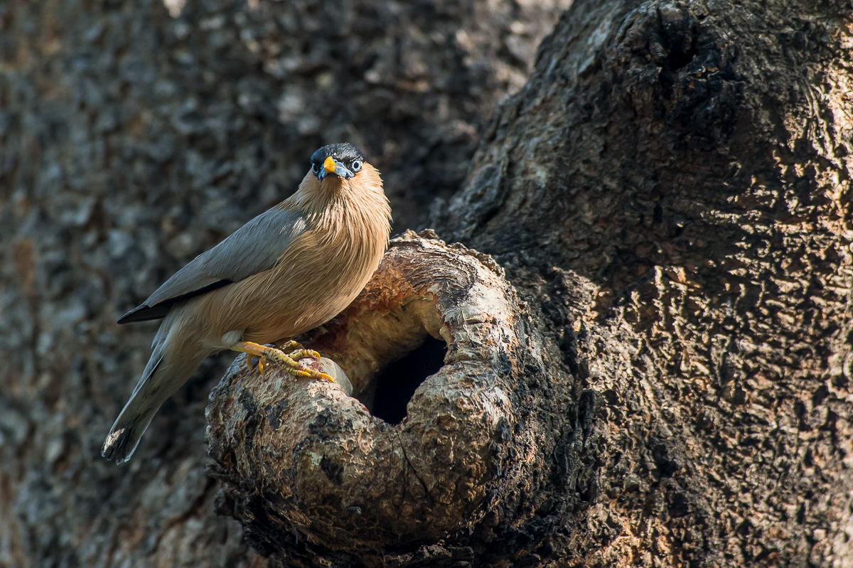 Alla larga da casa mia
