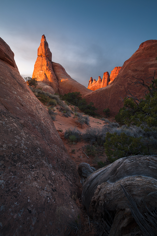 Beauty before me, with it I wander.