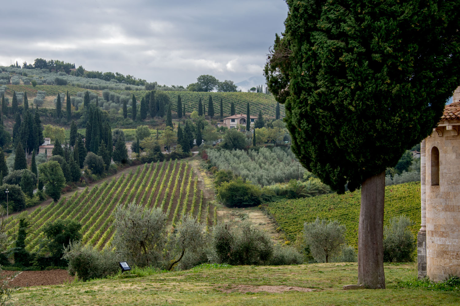 Abbazia si Sant Antimo.. Monmtalcino (SI)