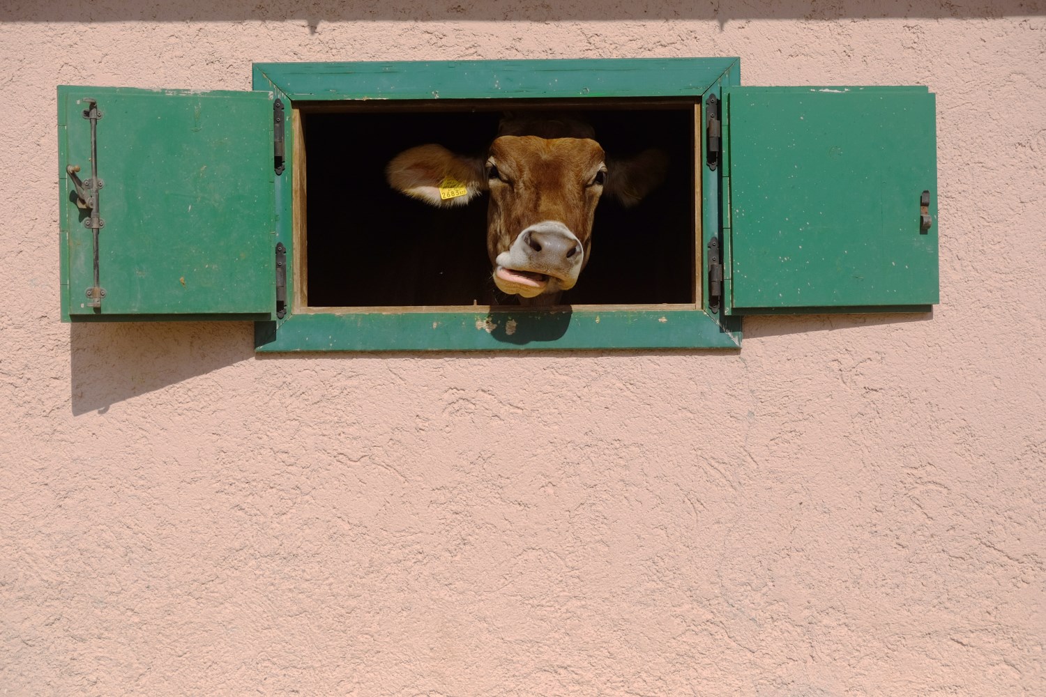 Che succede l� fuori?