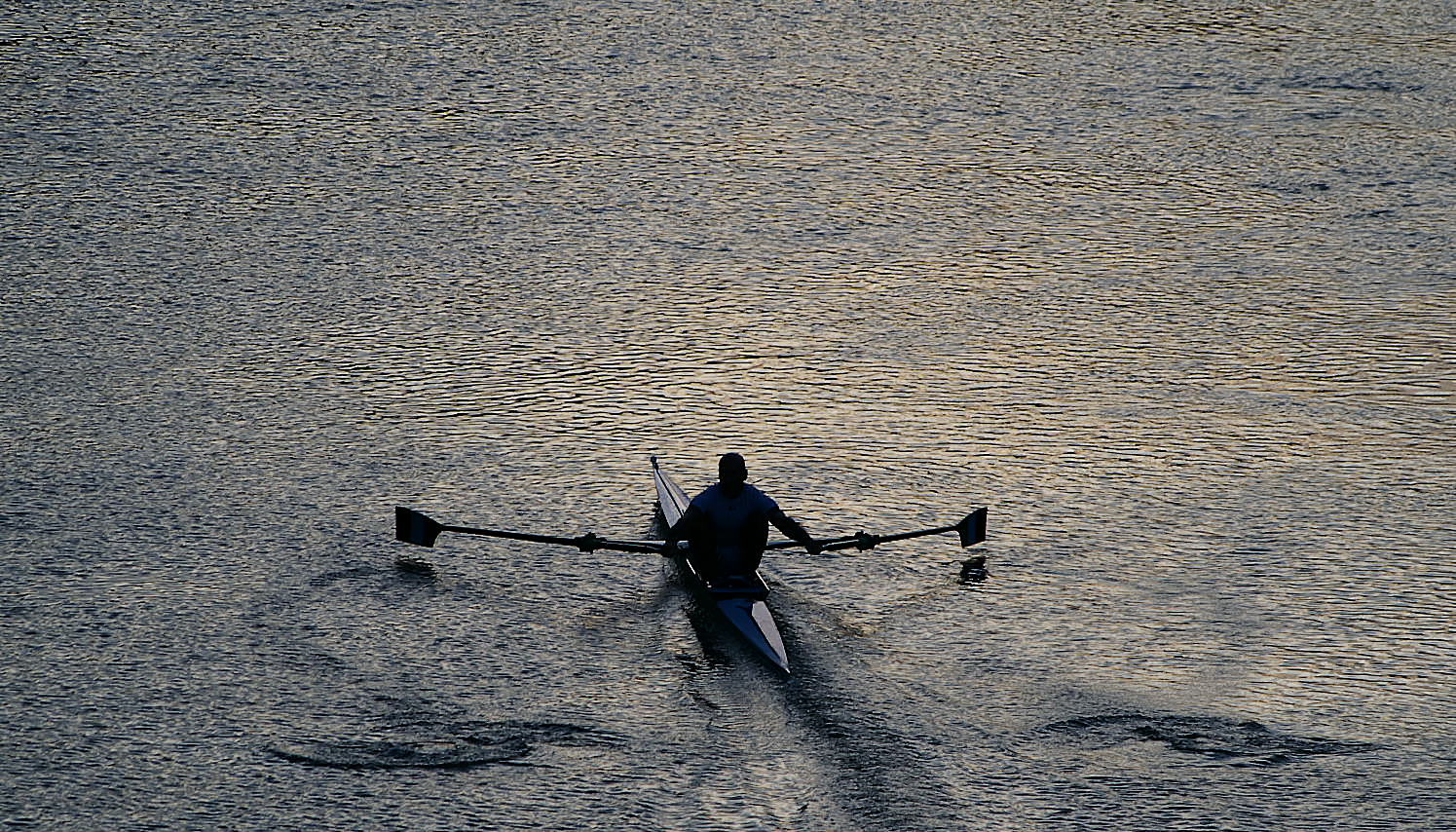 The rower