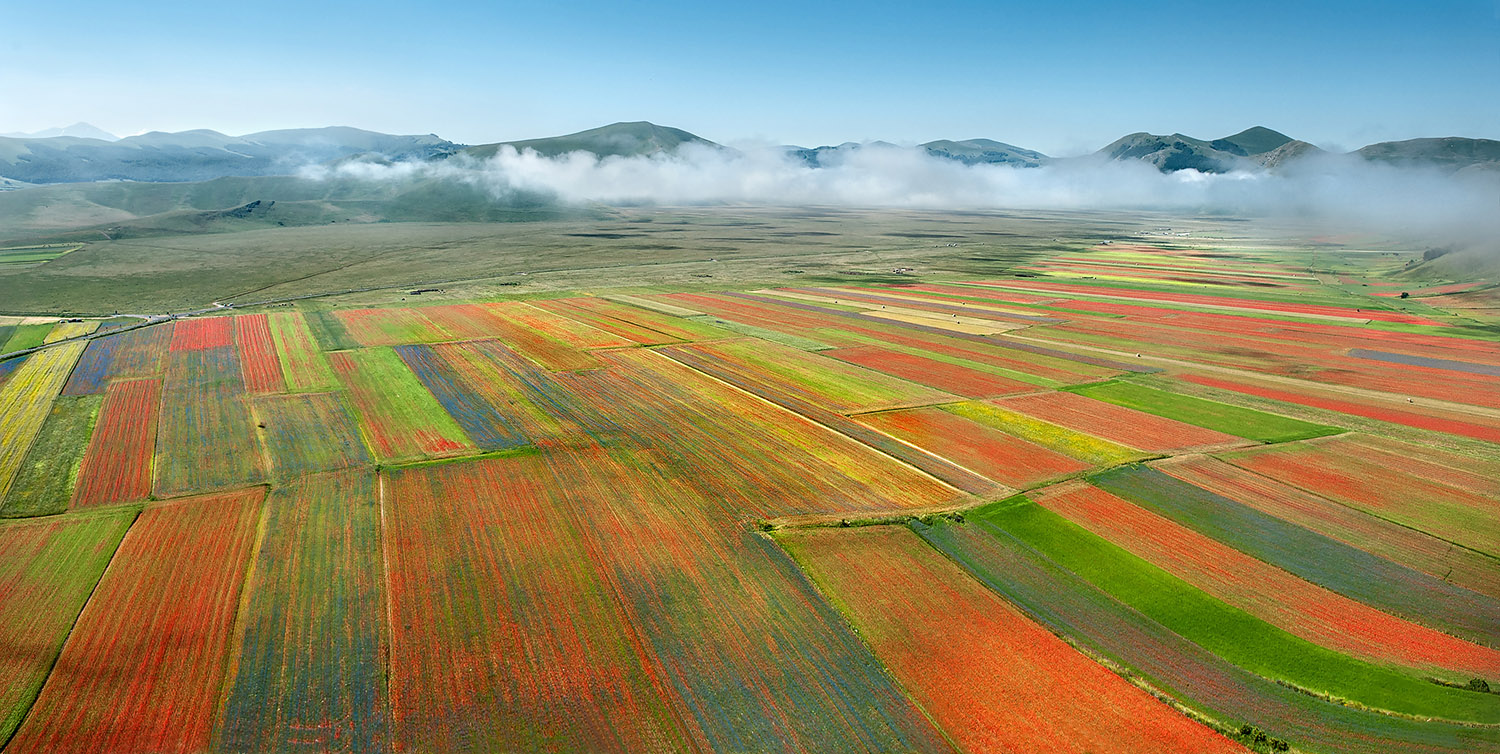 Il tappeto srotolato