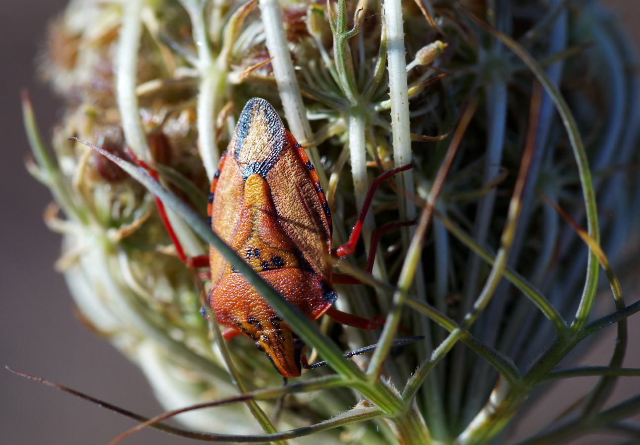 sotto i raggi del sole