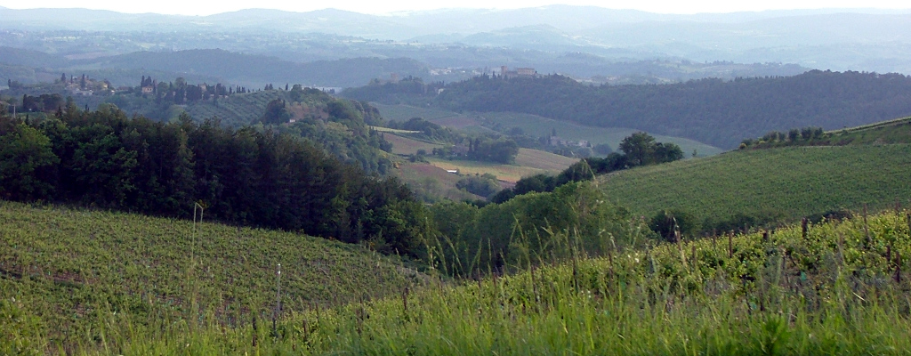 fra colline e casolari