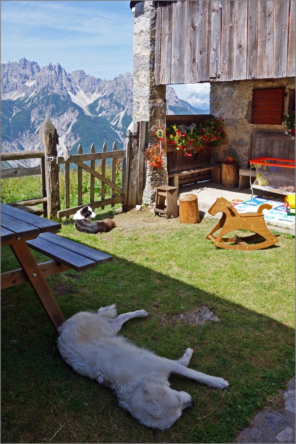 Dolomiti dalla Casera Varmost (UD)