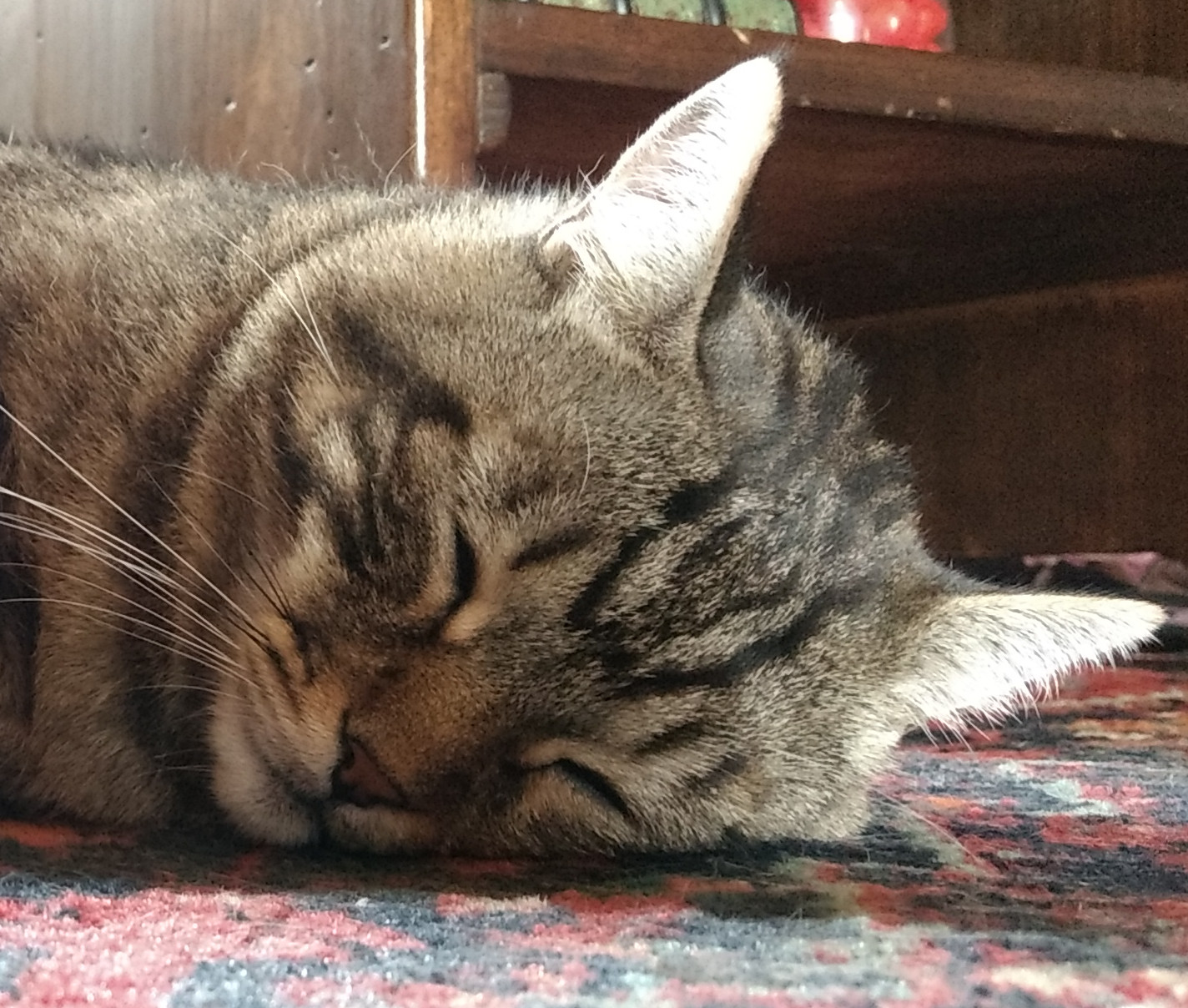 Lenovo Moto G4, in interni, 1600 ISO. Crop.