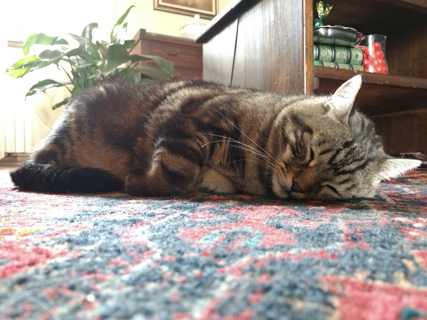 Lenovo Moto G4, in interni, 1600 ISO.