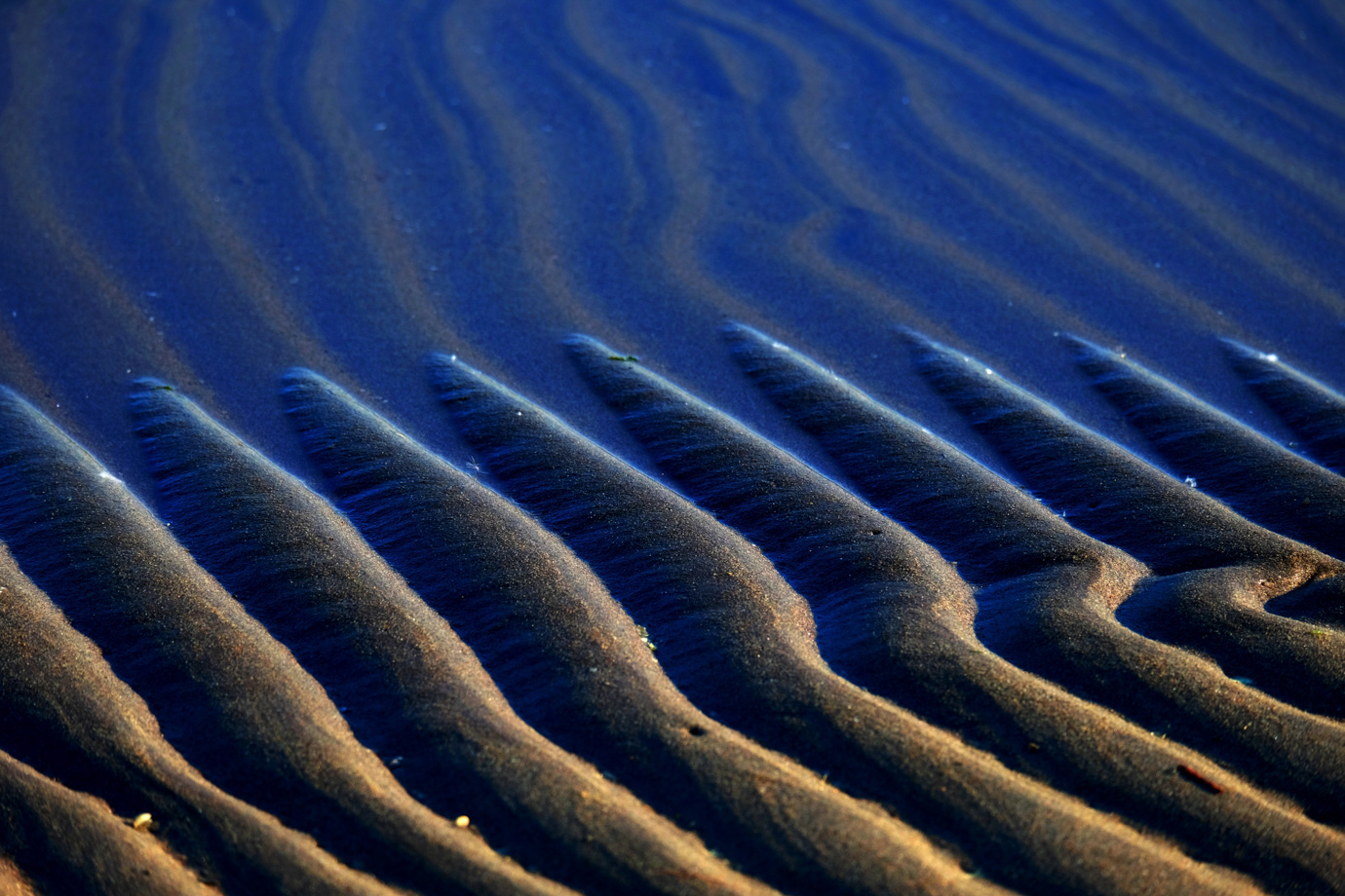 Il blu sulla sabbia del Delta