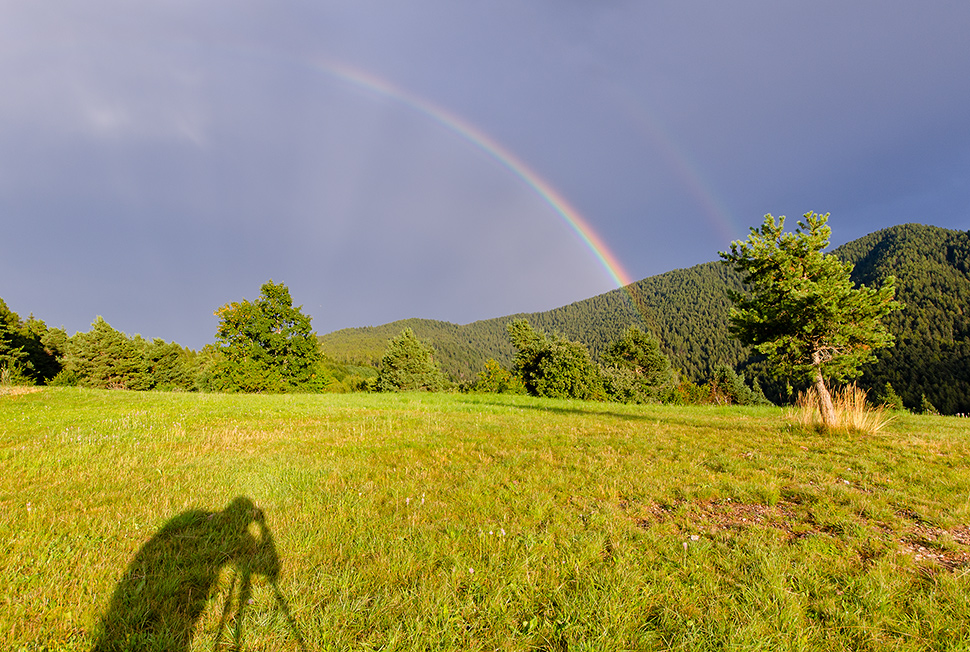 L'Albero, il Fotografo e l'Arcobaleno
