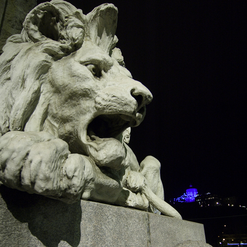 cosa mangiano i leoni?