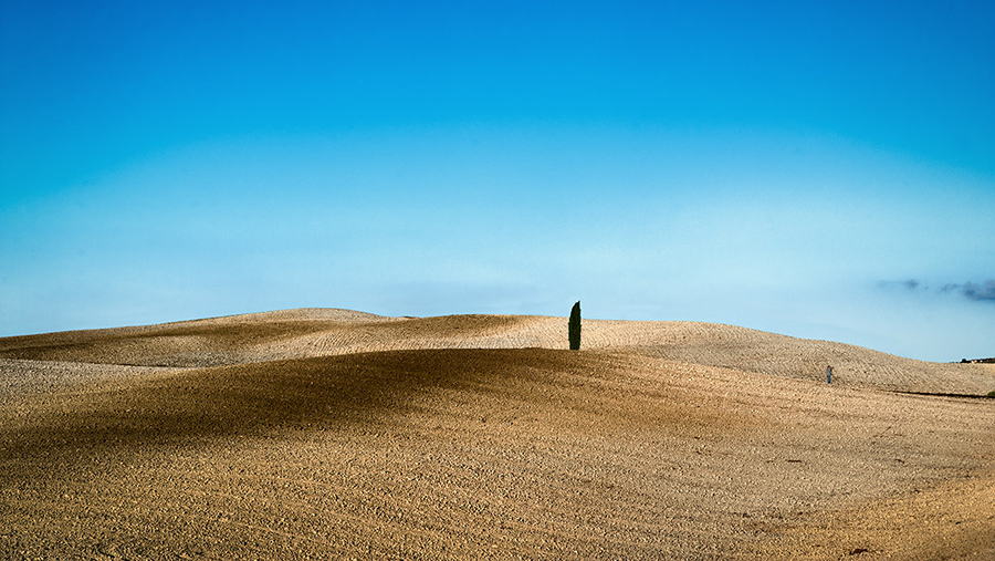 Tuscan landscape
