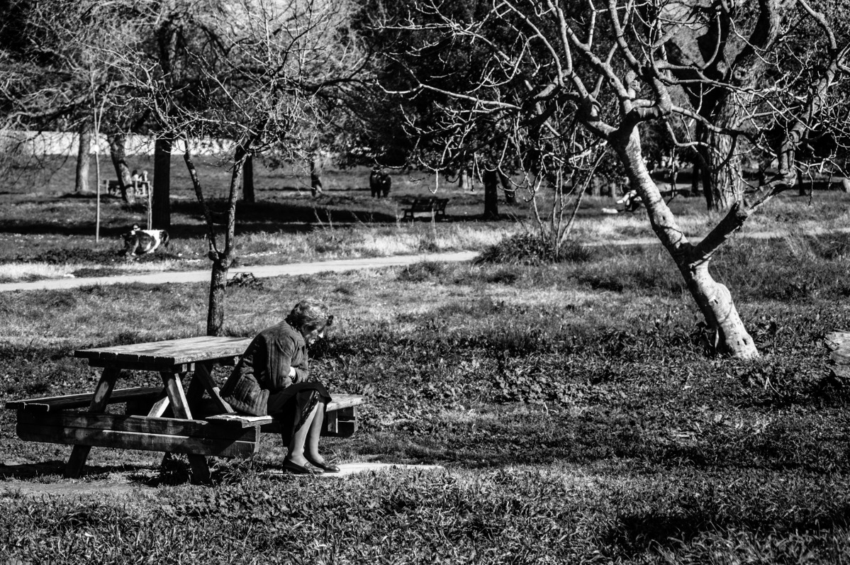 In assorta solitudine