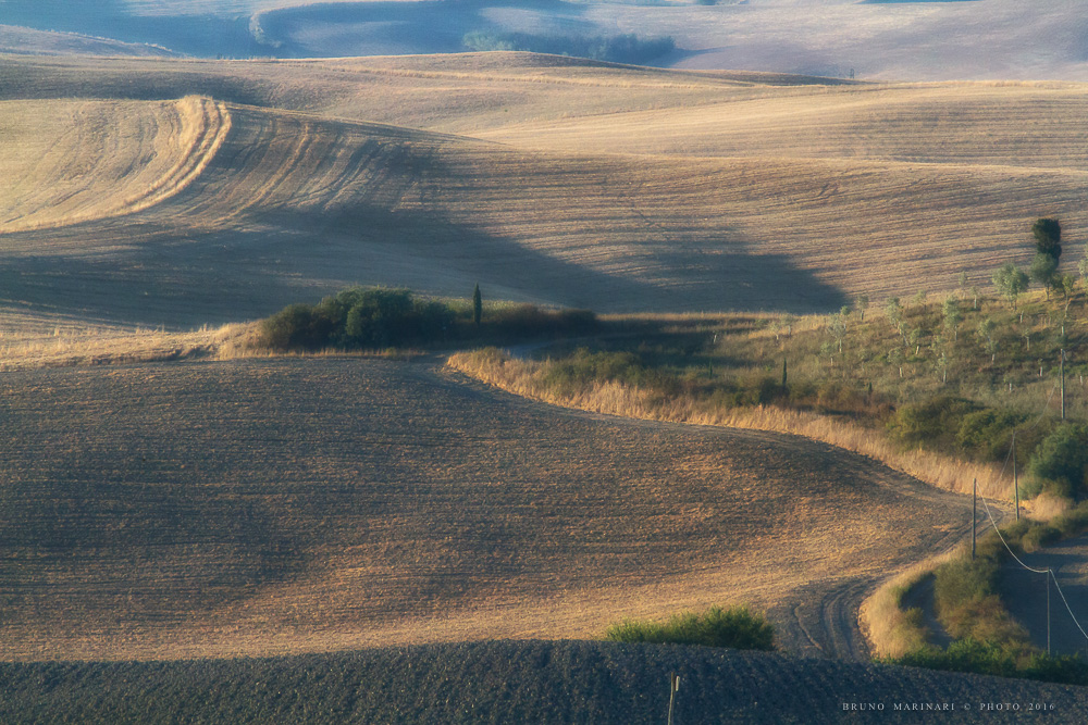 Colline al mattino
