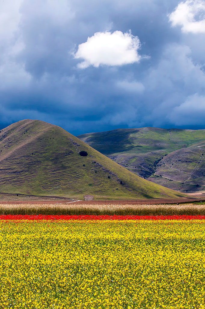 Castelluccio