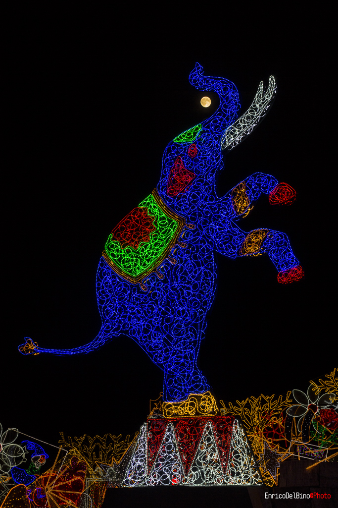 L'elefantino e la Luna - Lajatico 2016