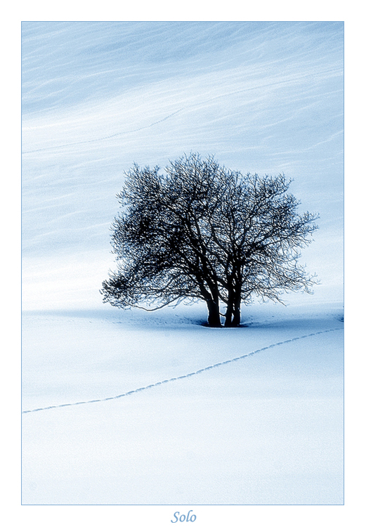 Solo