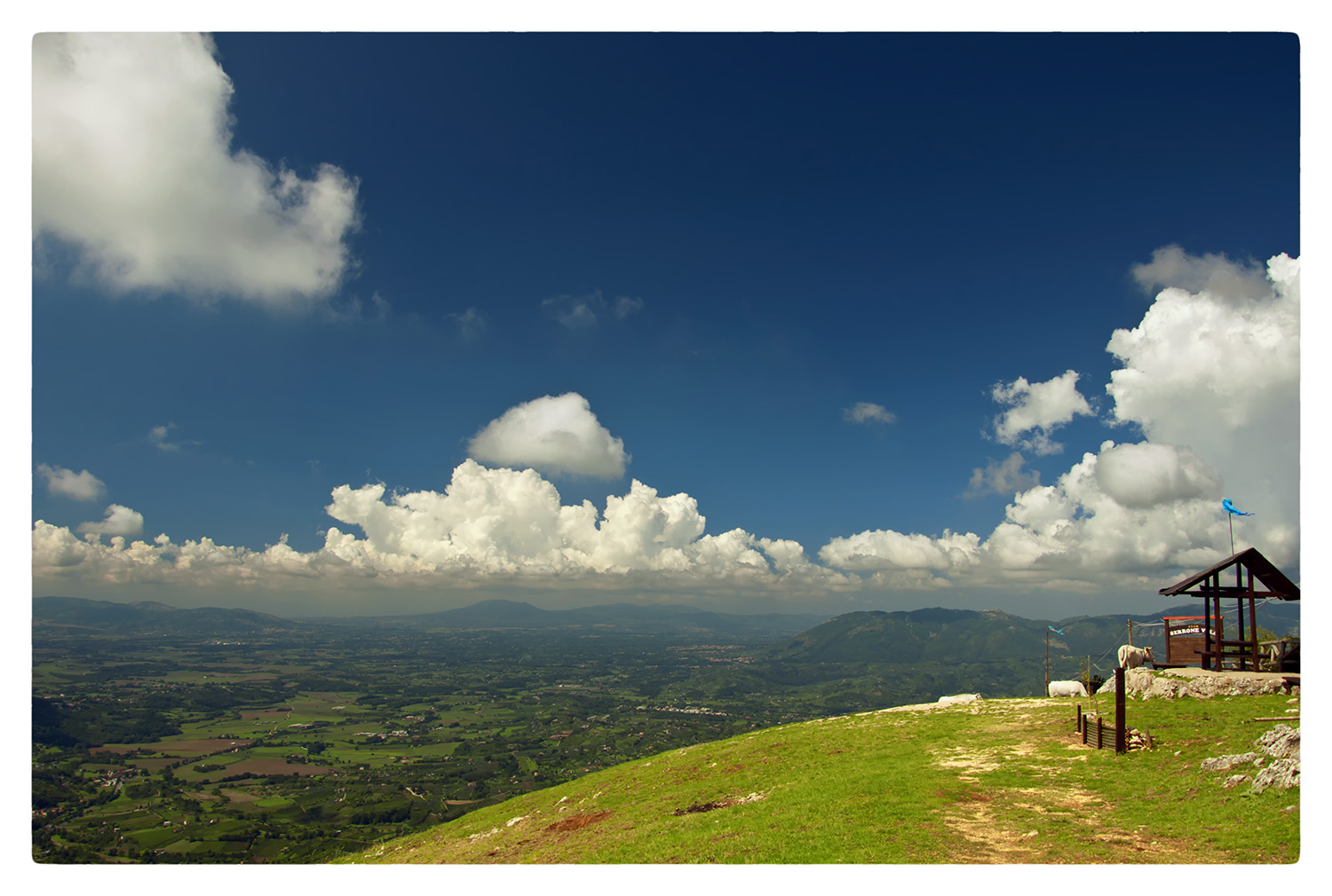 Paesaggio green/blue
