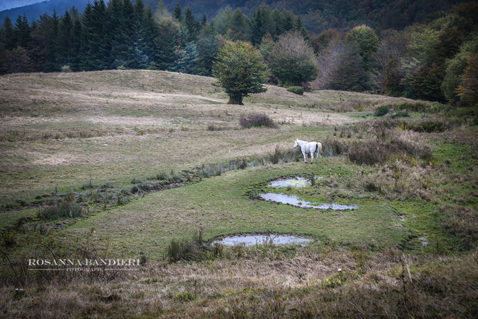 il Mondo Incantato esiste